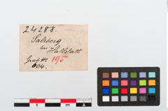 Etiketten zu Bronzegehänge (NHMW-PRAE-024288)